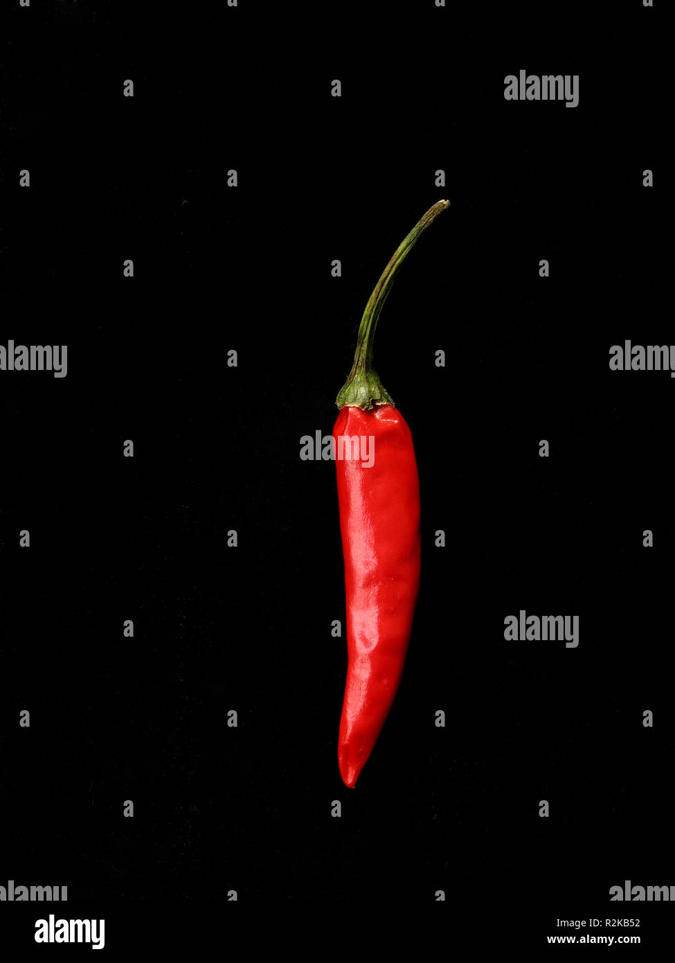 spicy thai chili individually on black Stock Photo Alamy