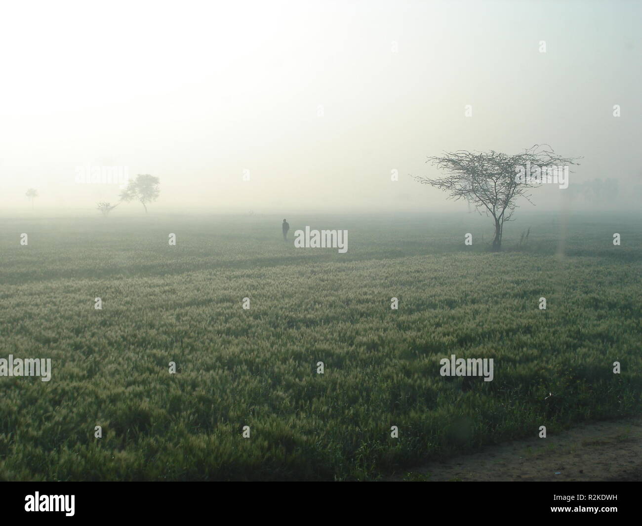 Vista india hi-res stock photography and images - Alamy
