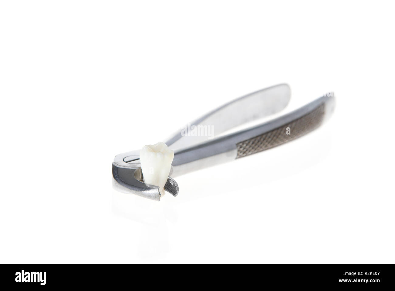 dental pliers in Stock Photo
