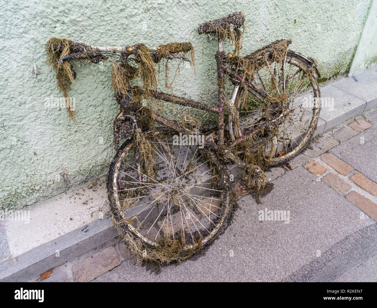Covered shells hi-res stock photography and images - Alamy