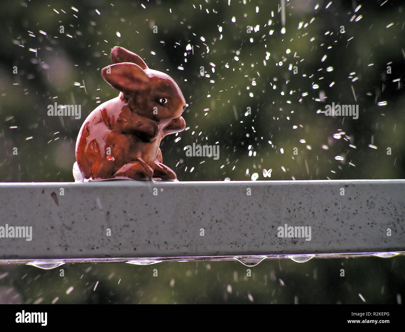 sad easter bunny in the rain Stock Photo