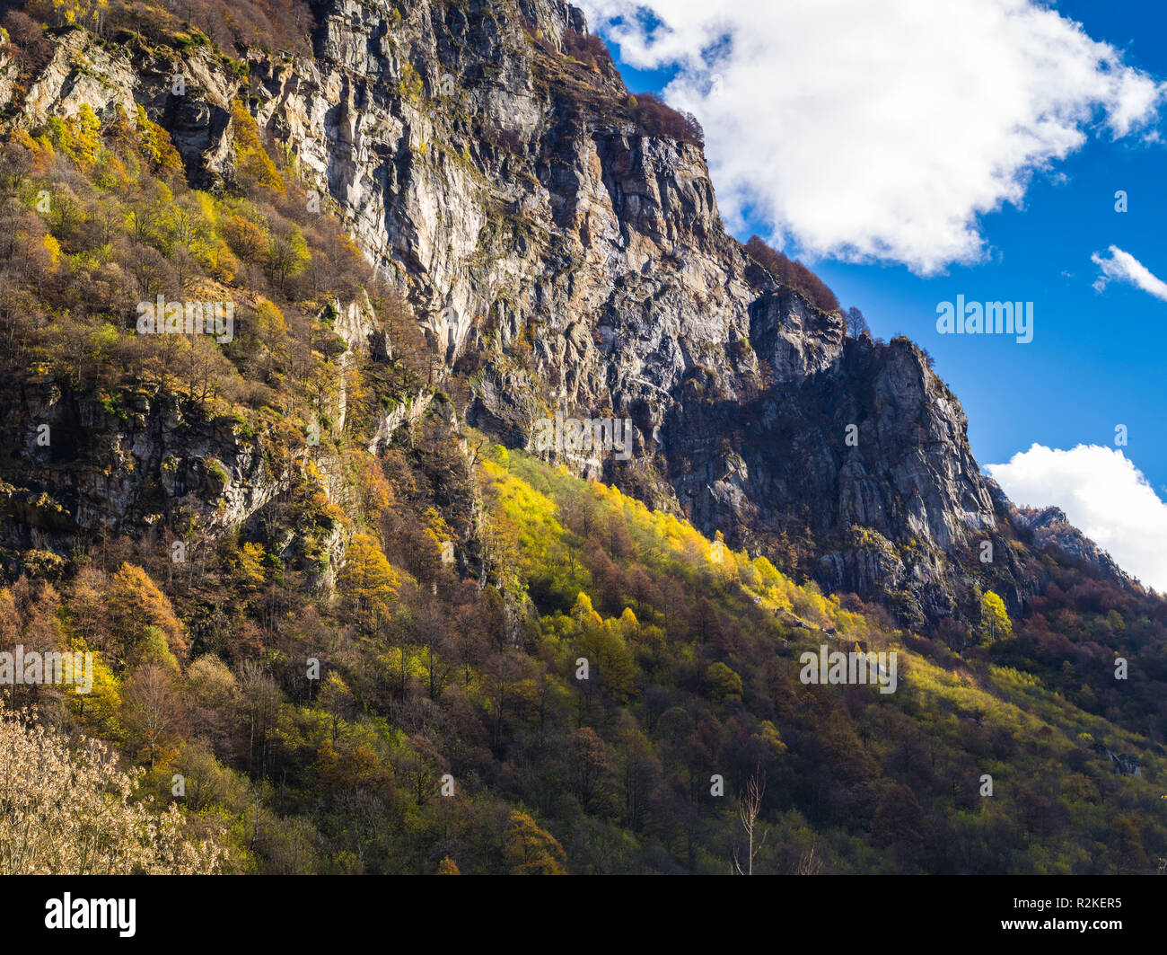 Vercasca Autumn in the verzasca valley hi-res stock photography and images - Alamy