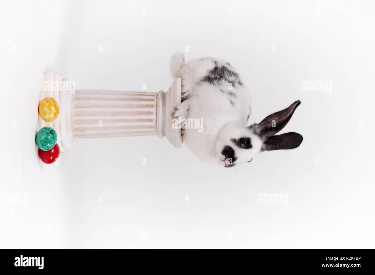 Ha sschen hi-res stock photography and images - Alamy