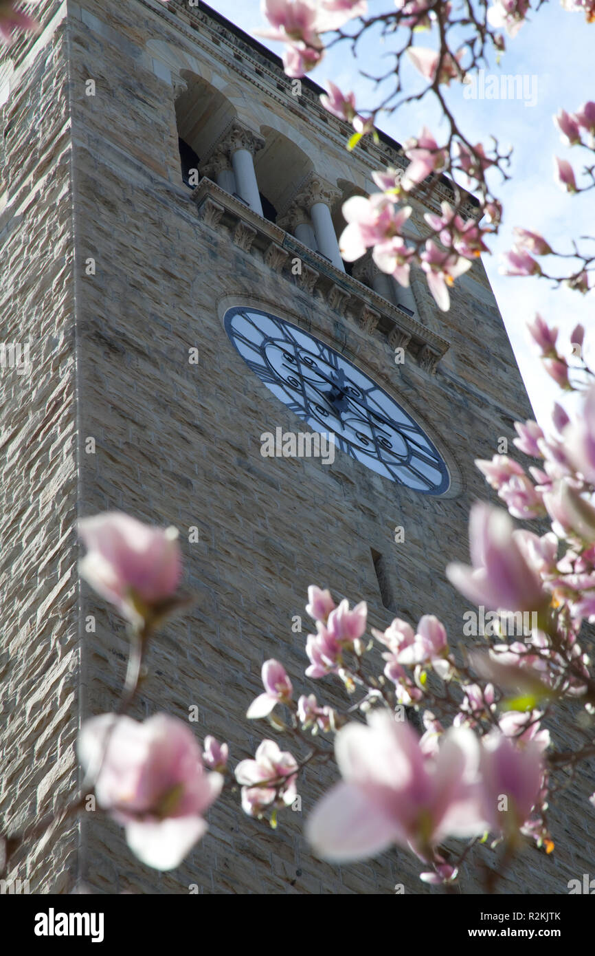 Cornell clock tower hires stock photography and images Alamy