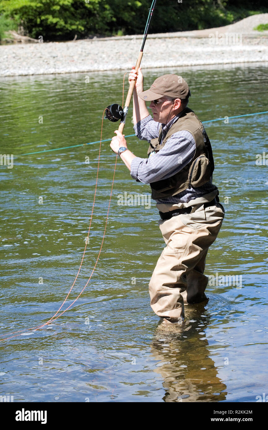 Summer salmon fishing, Dryburgh North beat, River Tweed, Scotland Stock