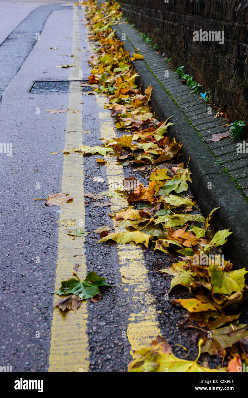 Wet autumn leaves collect in the gutter on the side of a road Stock Photo