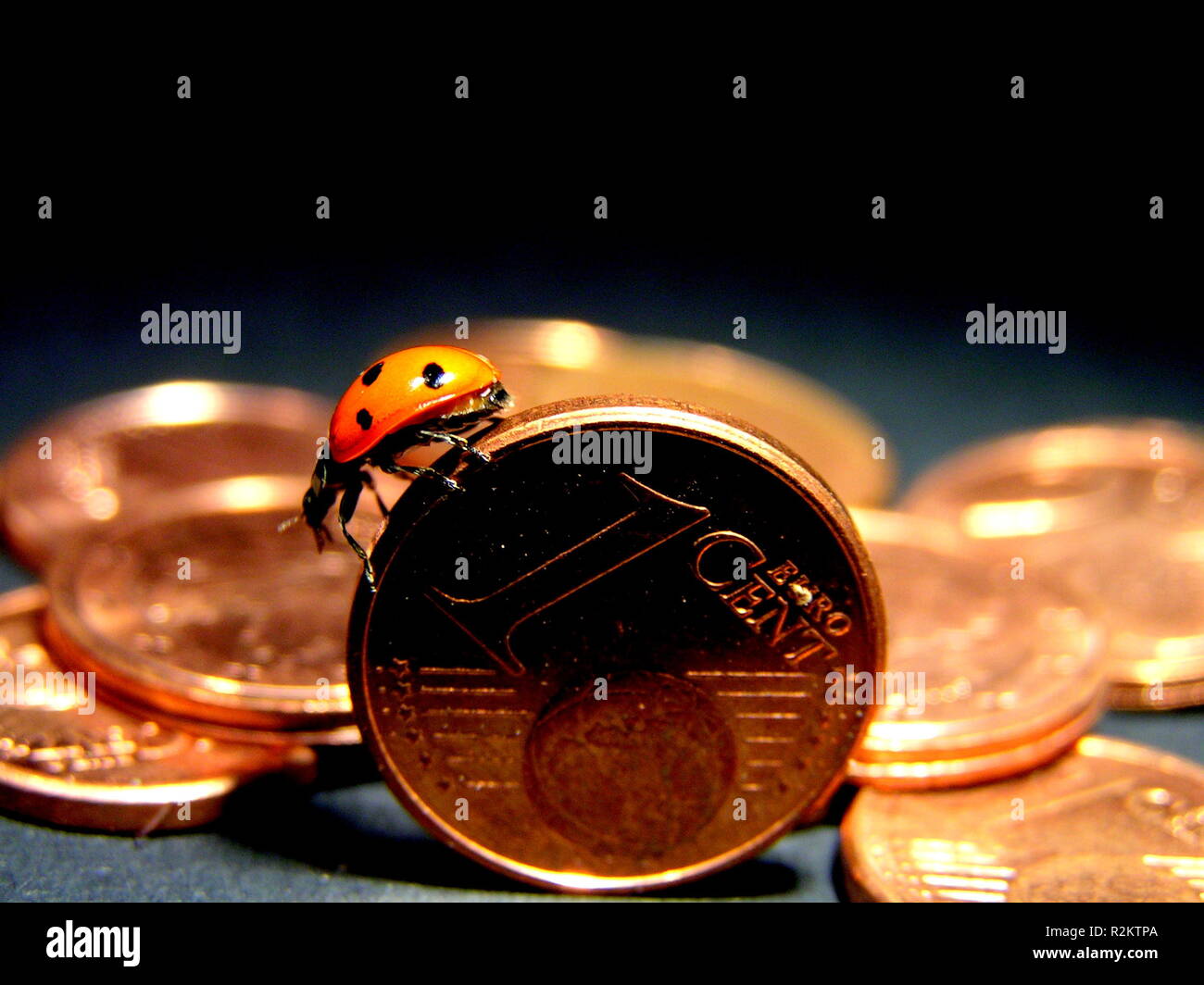 lucky penny Stock Photo