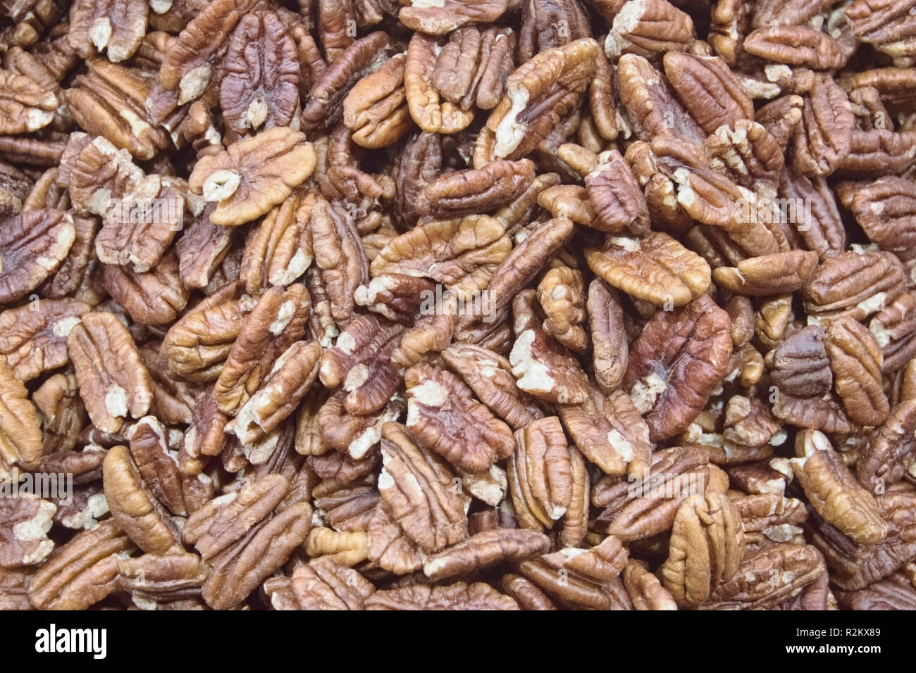 Shell texture hires stock photography and images Alamy