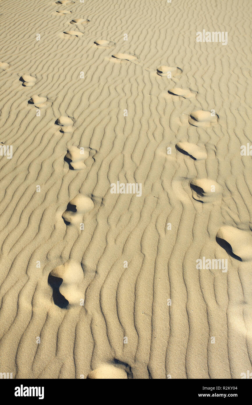 Footmarks on a wrinkled sunny beach Stock Photo