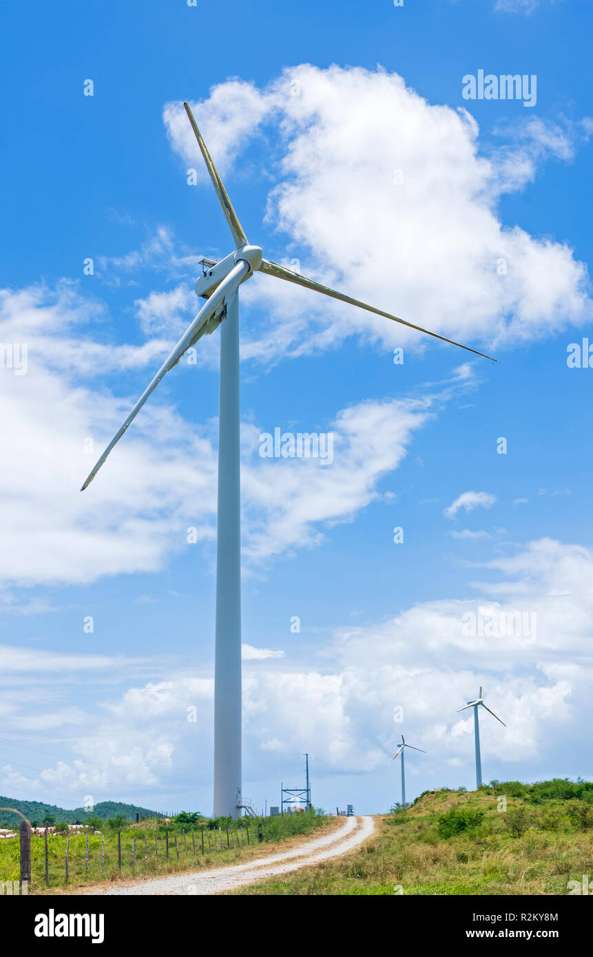 inoperable and damaged wind turbines at punta lima wind farm after