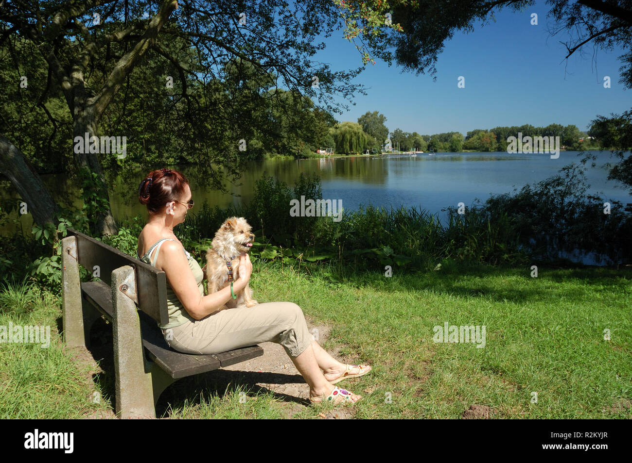 senior woman with dog on a park bench Stock Photo - Alamy