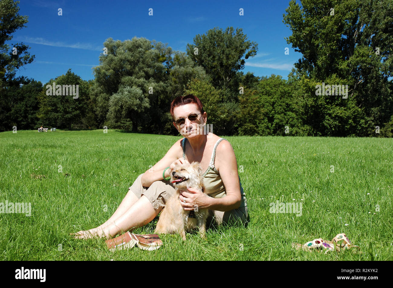 mistress with dog on the meadow in the park Stock Photo - Alamy