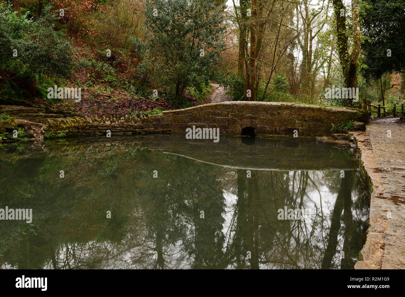 Photograph of a pond in Ninesprings park in Yeovil in Somerset Stock