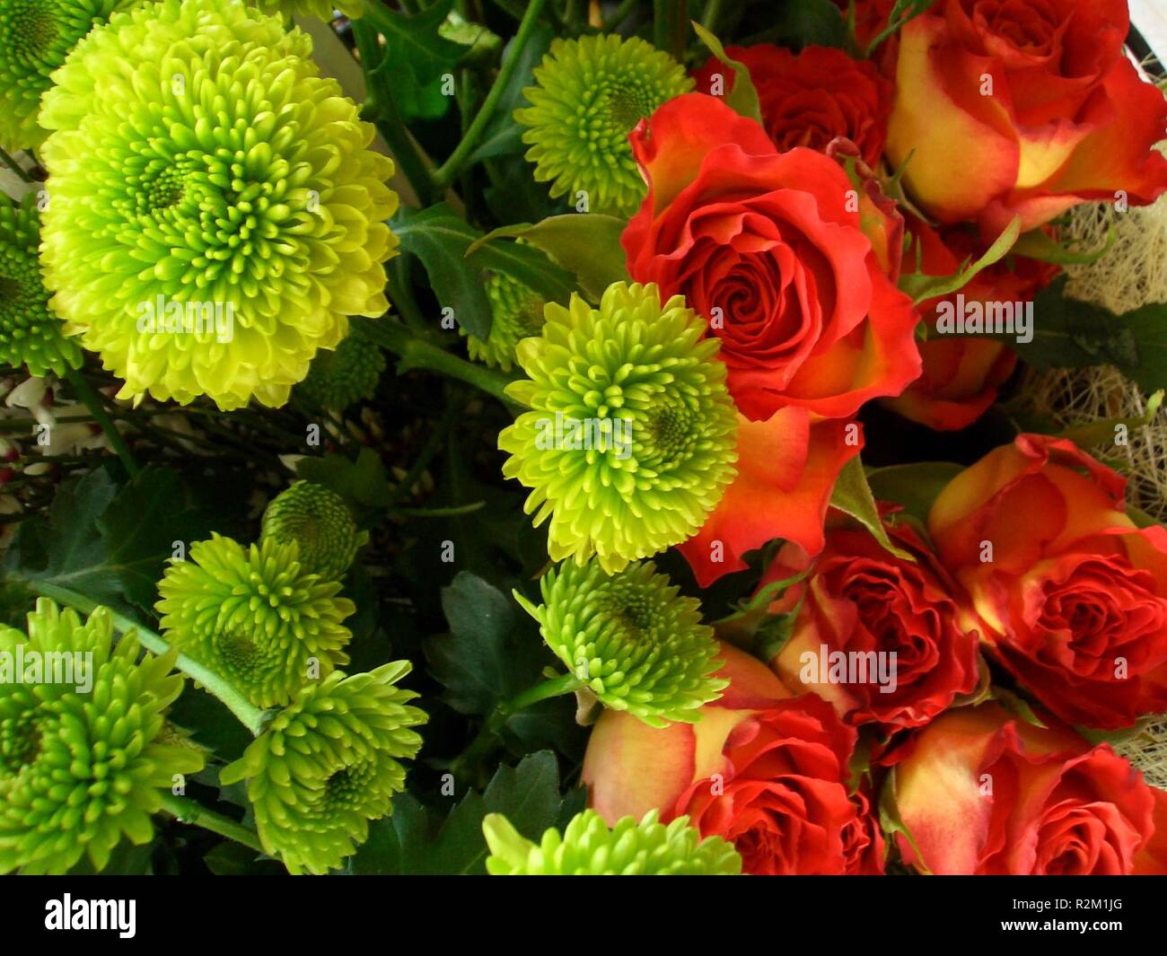 flowery beauty Stock Photo