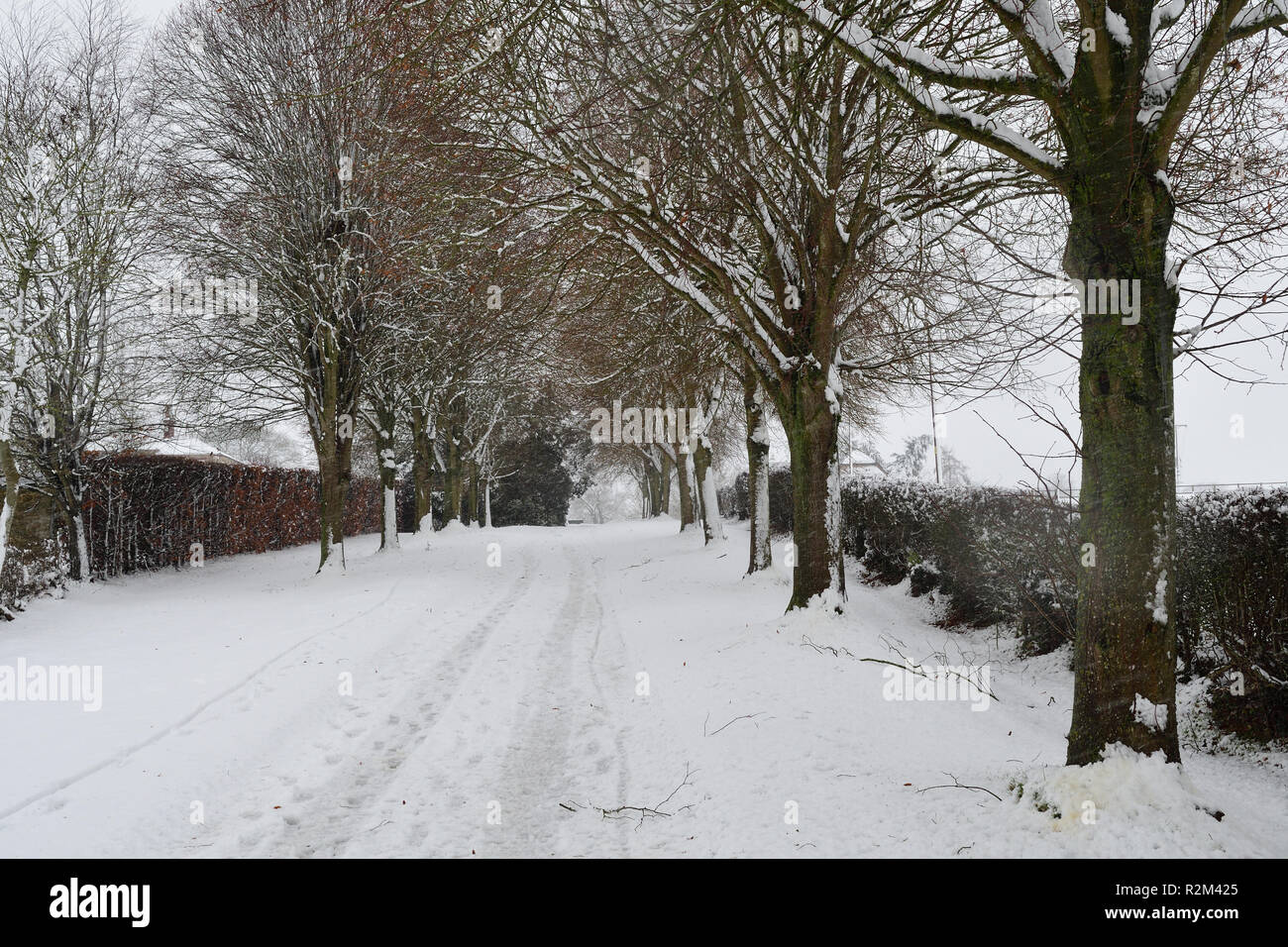 Snow covered road in a rural village Stock Photo - Alamy