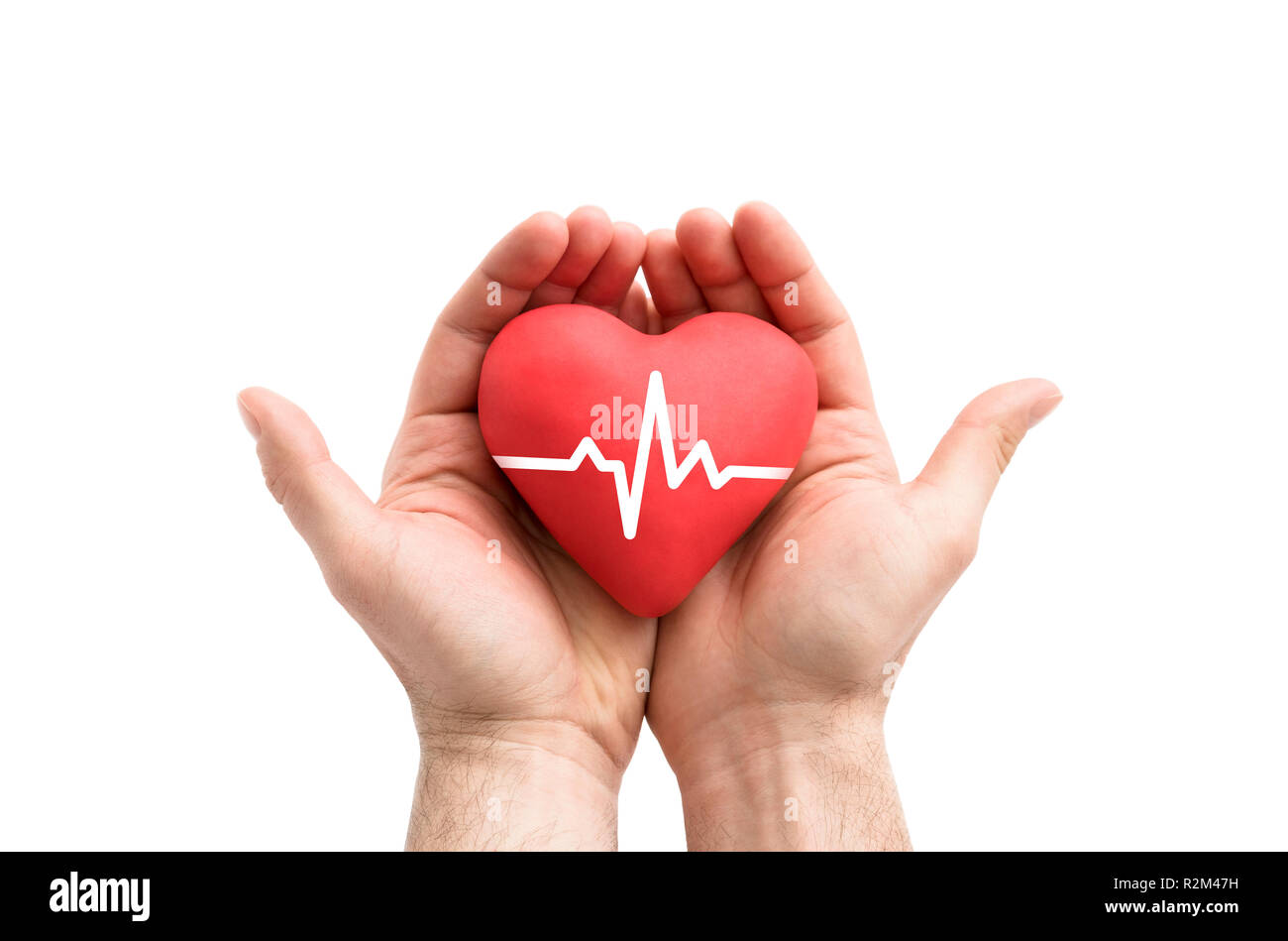 Red heart with pulse in man's hands. Stock Photo