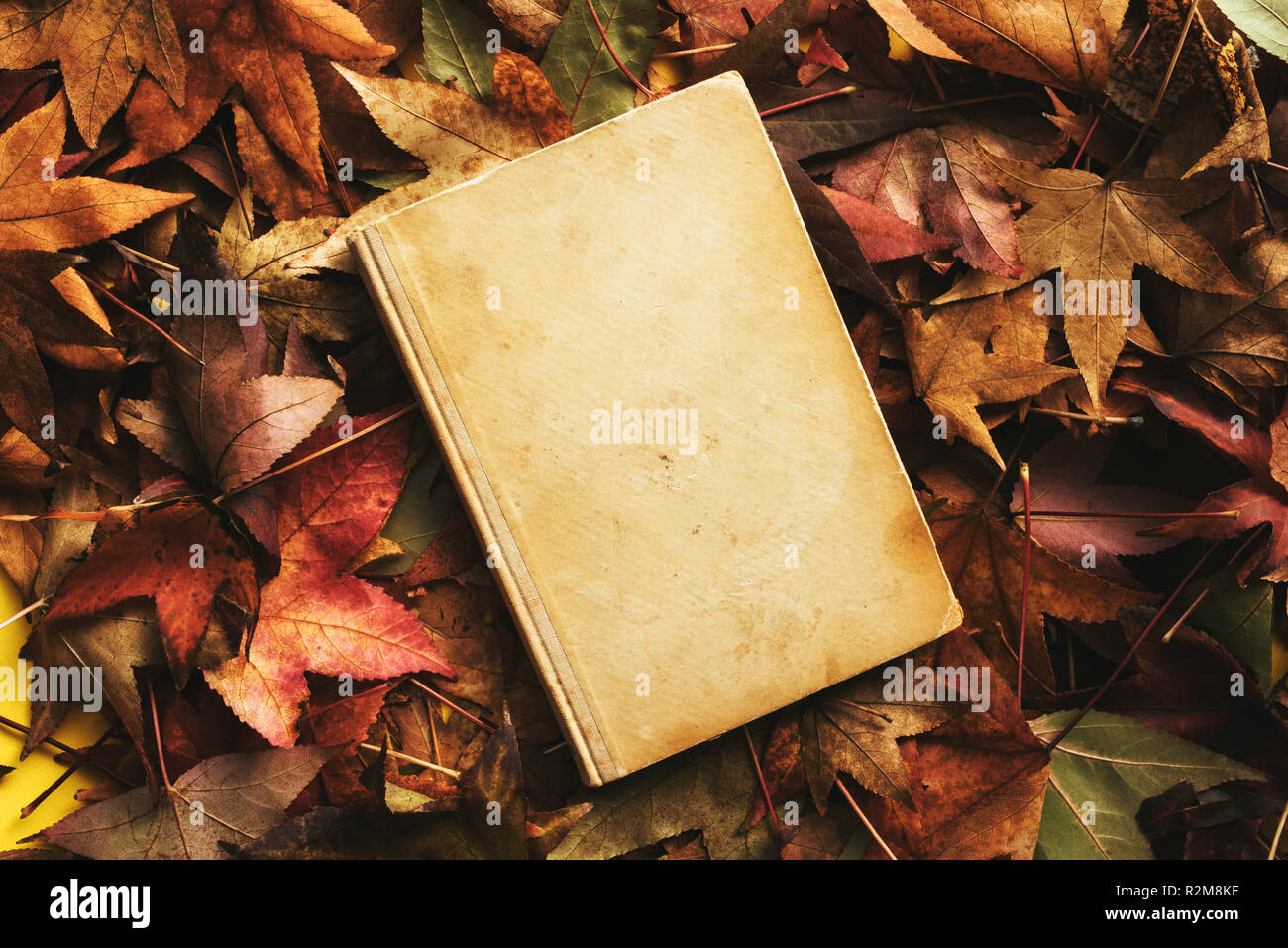 Old book and autumn leaves, fall season concept Stock Photo