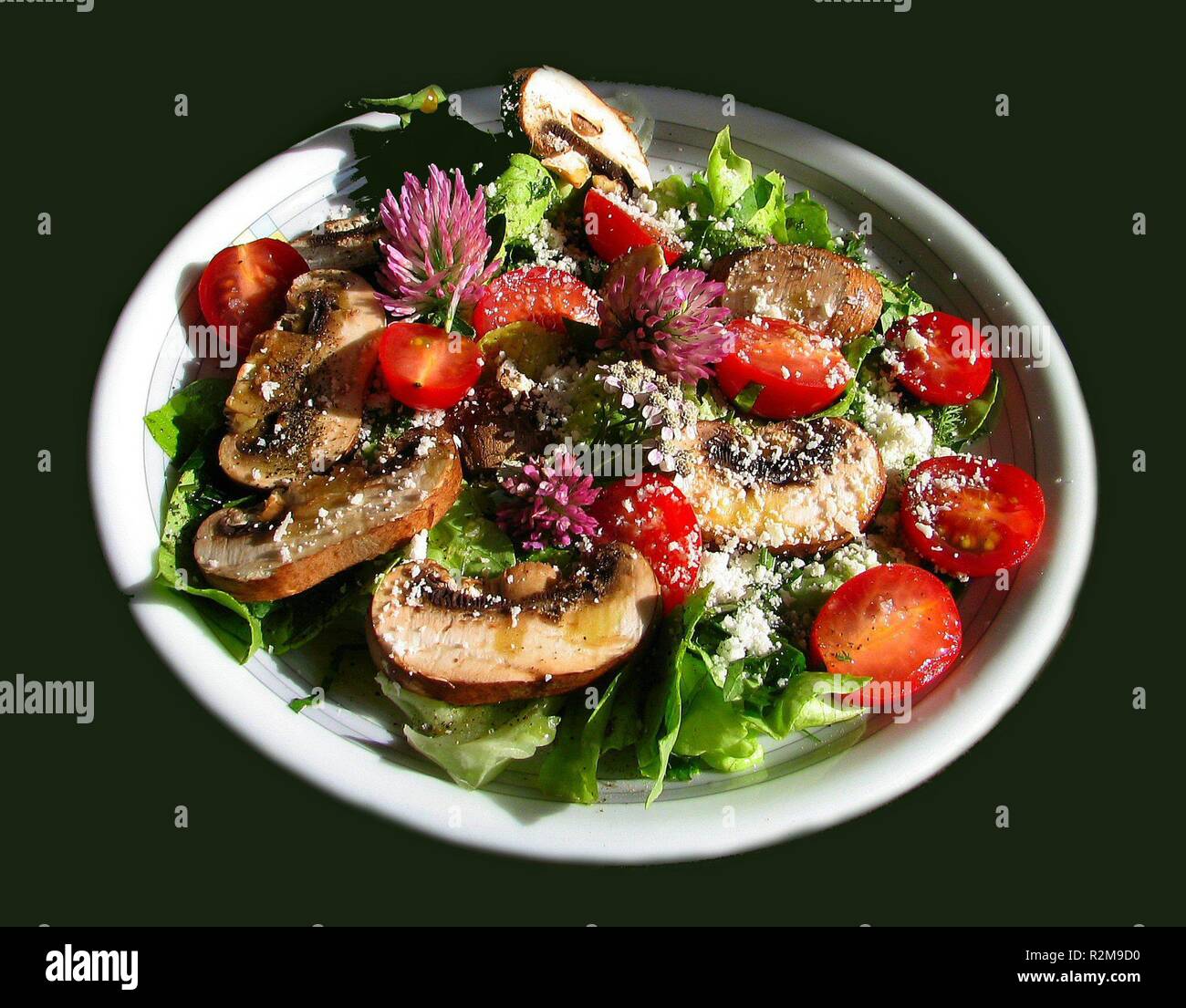 wild herbs salad Stock Photo