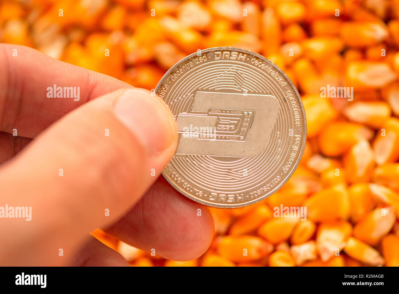 Dash coin in hand over corn kernels heap, conceptual image for  cryptocurrency related commercial activity with commodity trade in  agricultural busines Stock Photo - Alamy