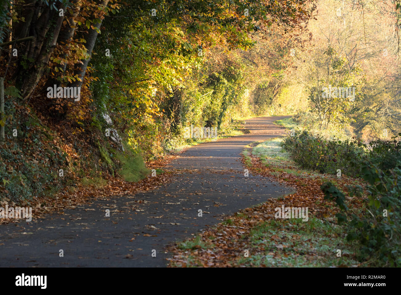 Beautiful autumn colours on a cold frosty morning on the Lagan towpath in South Belfast, Northern Ireland. Stock Photo
