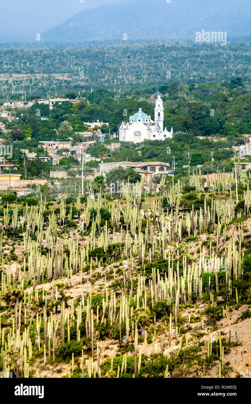 The church in Zapotitlan Salinas, Puebla, a town surrounded by cactus Stock  Photo - Alamy