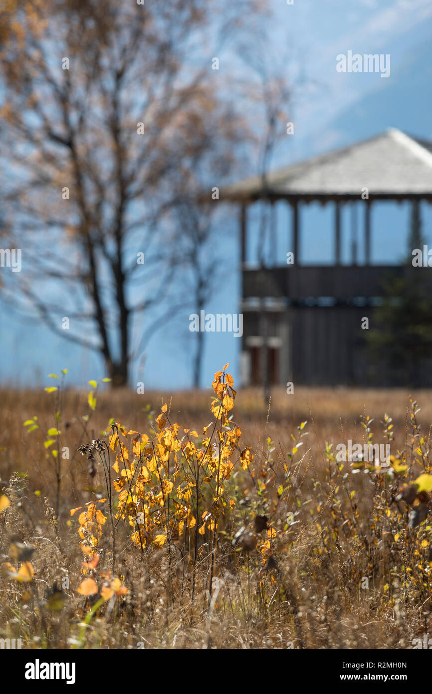 The Wasenmoos with lookout pavilion in blur, a marshland at Pass Thurn, Mittersill, Salzburg, Austria Stock Photo