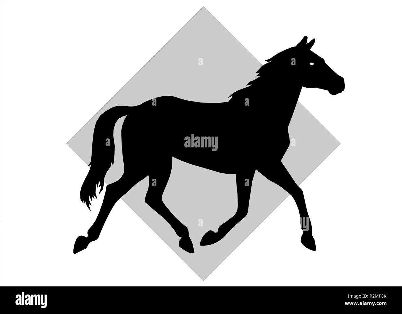 horse 05 Stock Photo