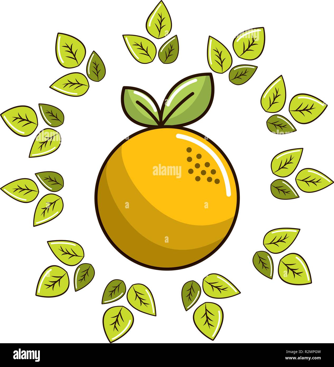 Isolated orange fruit design Stock Vector Image & Art - Alamy