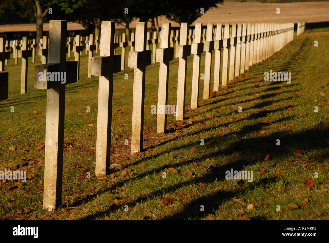 crosses in the military cemetery Stock Photo