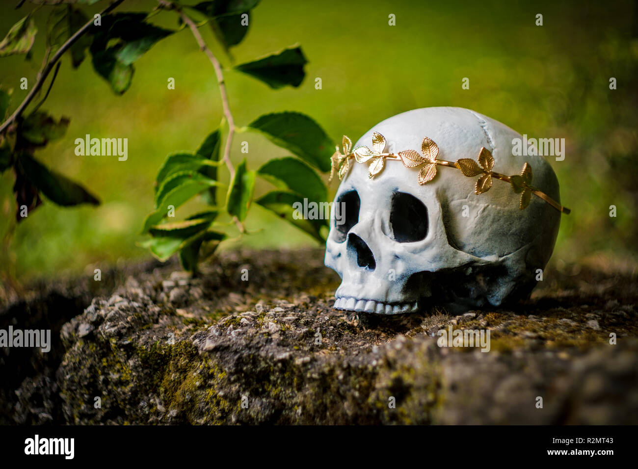 Human skeleton skull of King or Queen wearing royal gold leaf crown Stock Photo