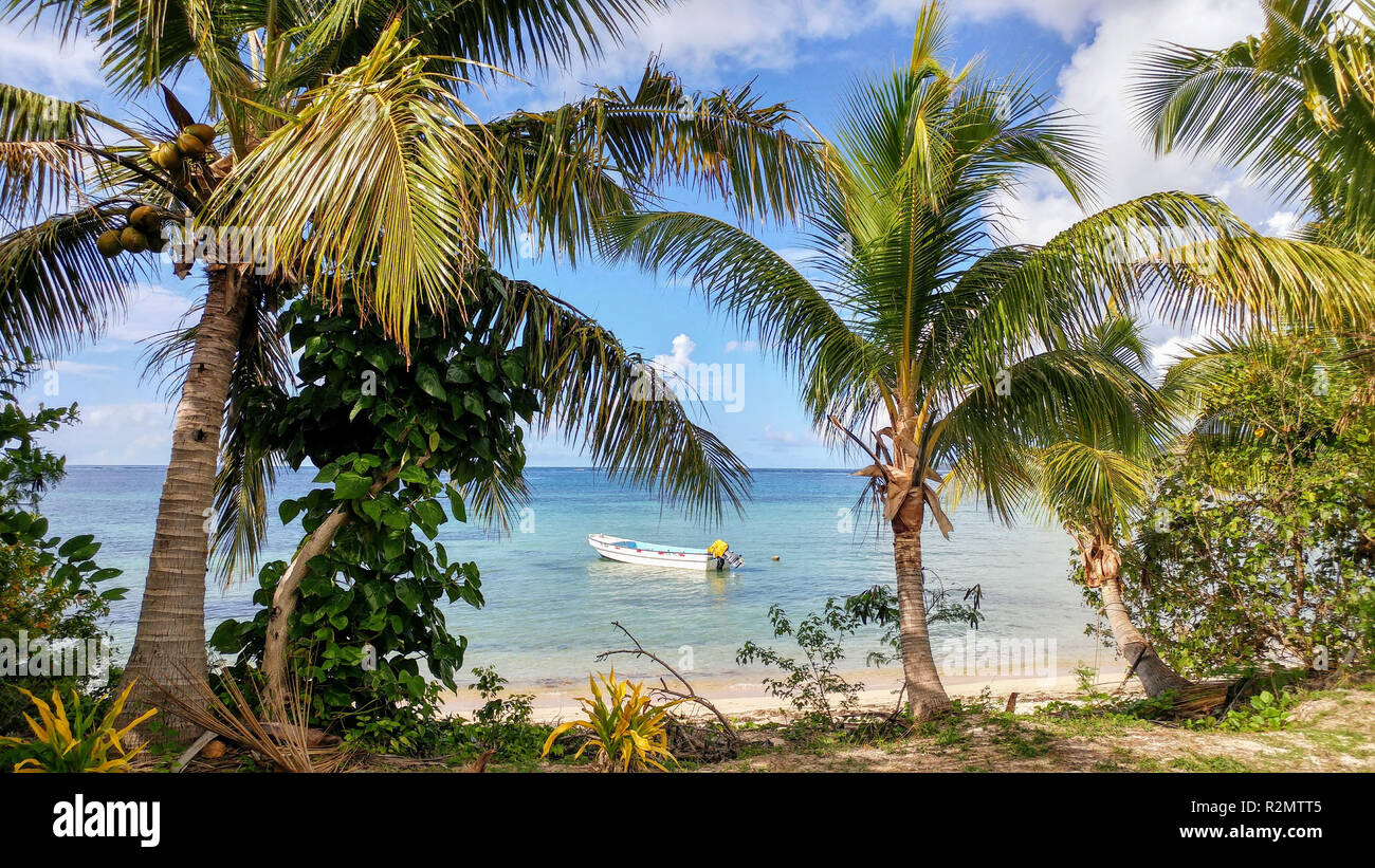 Palm trees on the sandy beach and boat on turquoise blue sea, Fiji Stock Photo