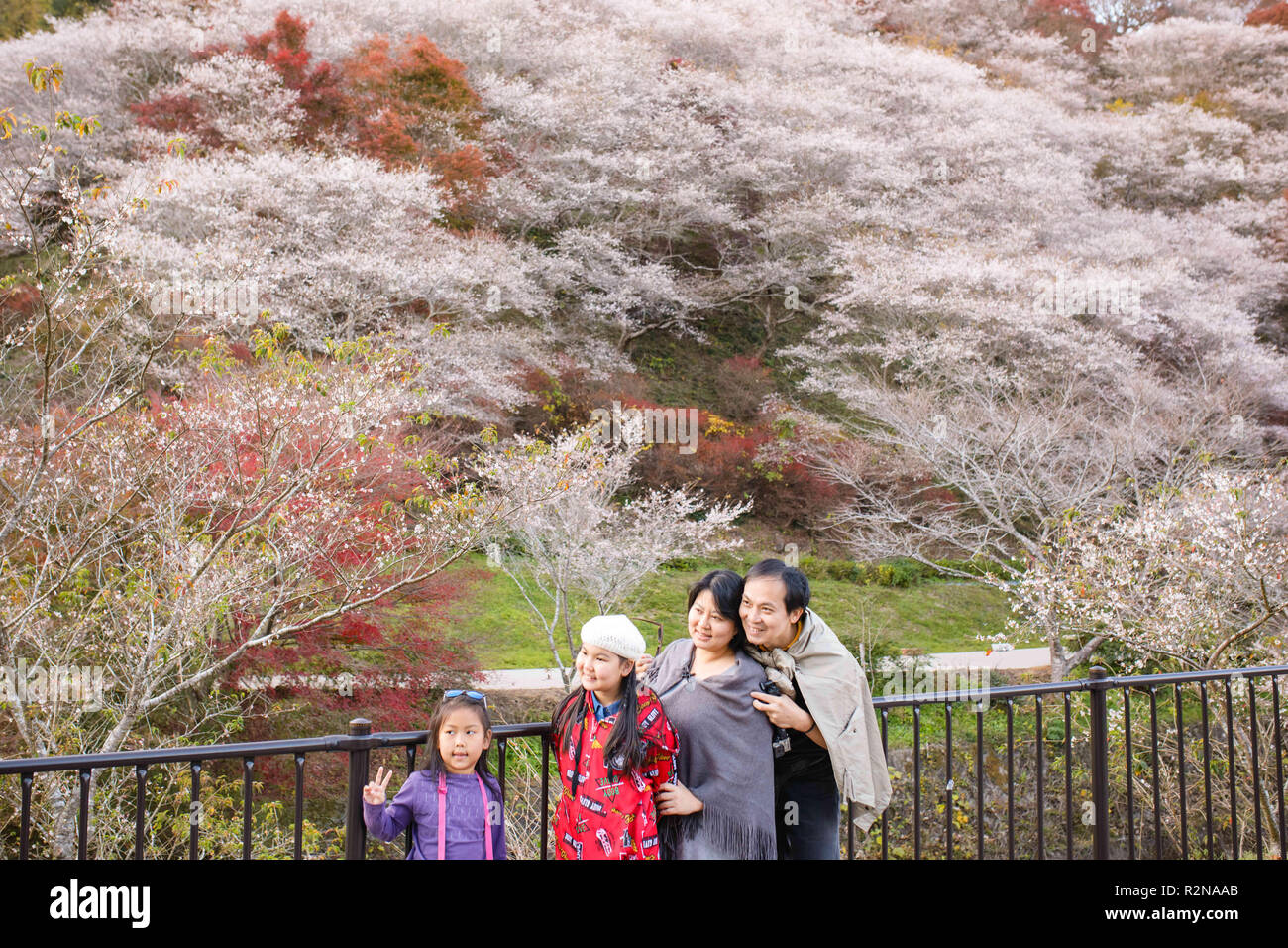Toyota, aichi, Japan. 20th Nov, 2018. People seen taking pictures next ...