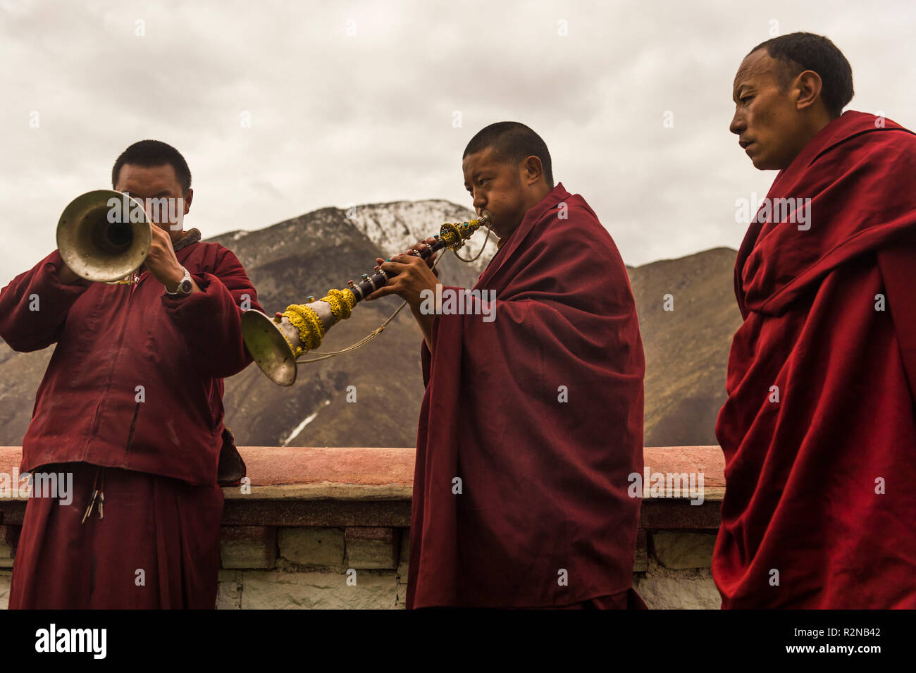 Monks in the monastery Drigung Thel Stock Photo