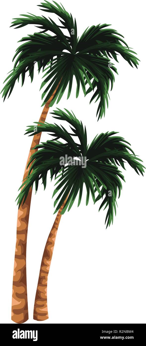 Tree beach palms isolated vector illustration graphic design Stock ...