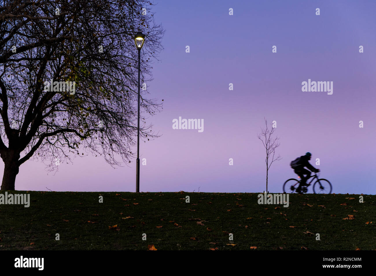Person cycling at night. Cyclist riding a bicycle past a street light and trees in Autumn, Nottingham, England, UK Stock Photo