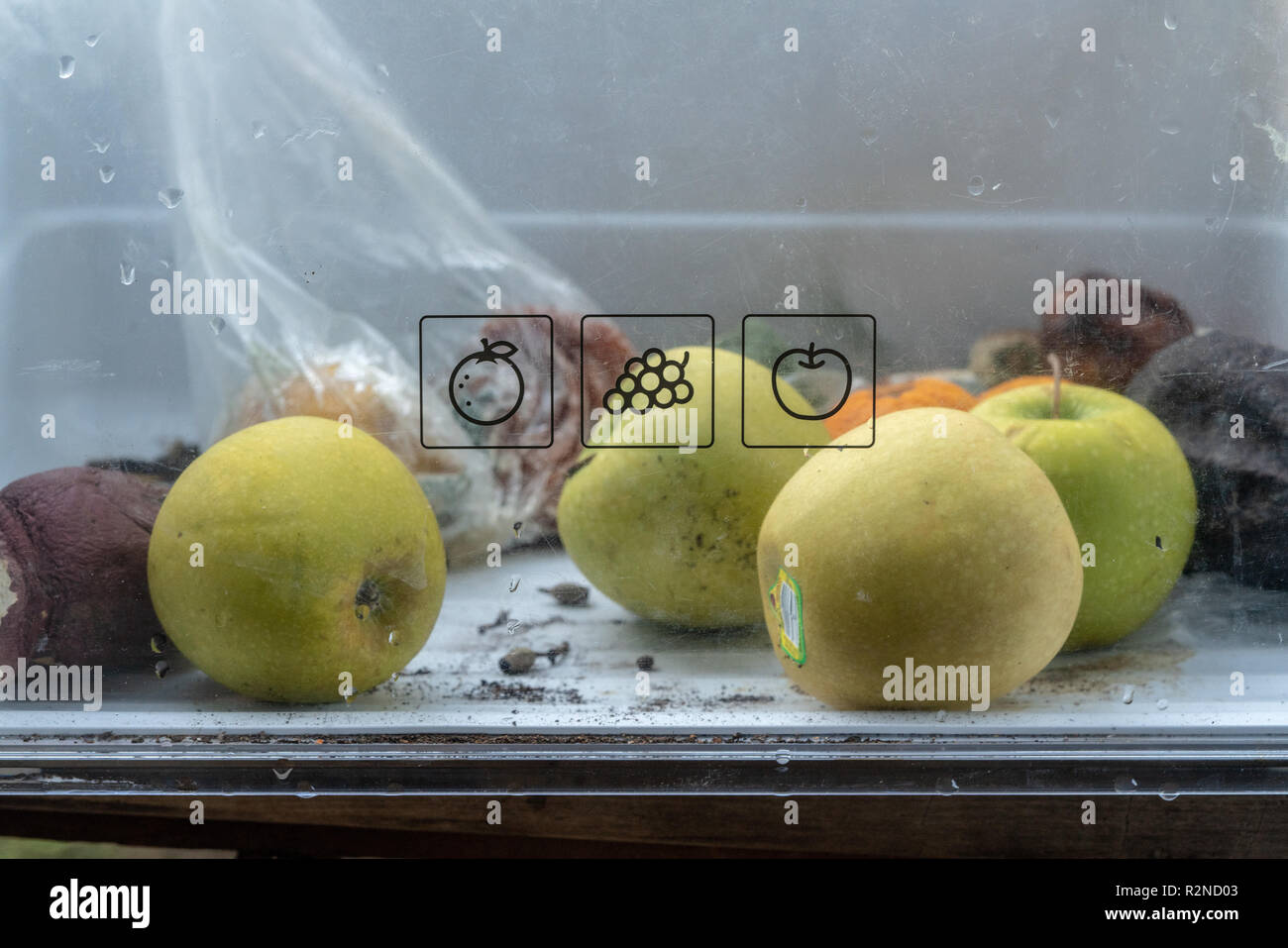 rotten fruit in refrigerator fruit bin Stock Photo