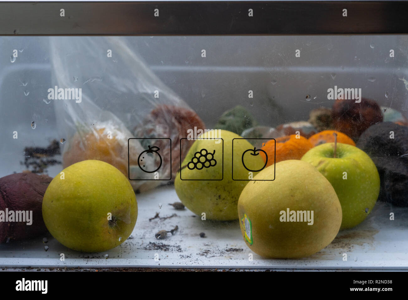 rotten fruit in refrigerator fruit bin Stock Photo