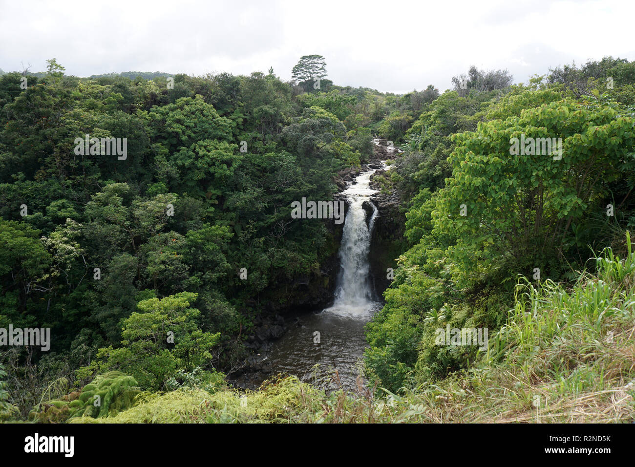 The Kamaee Falls on the island of Hawaii (the Big Island) Stock Photo
