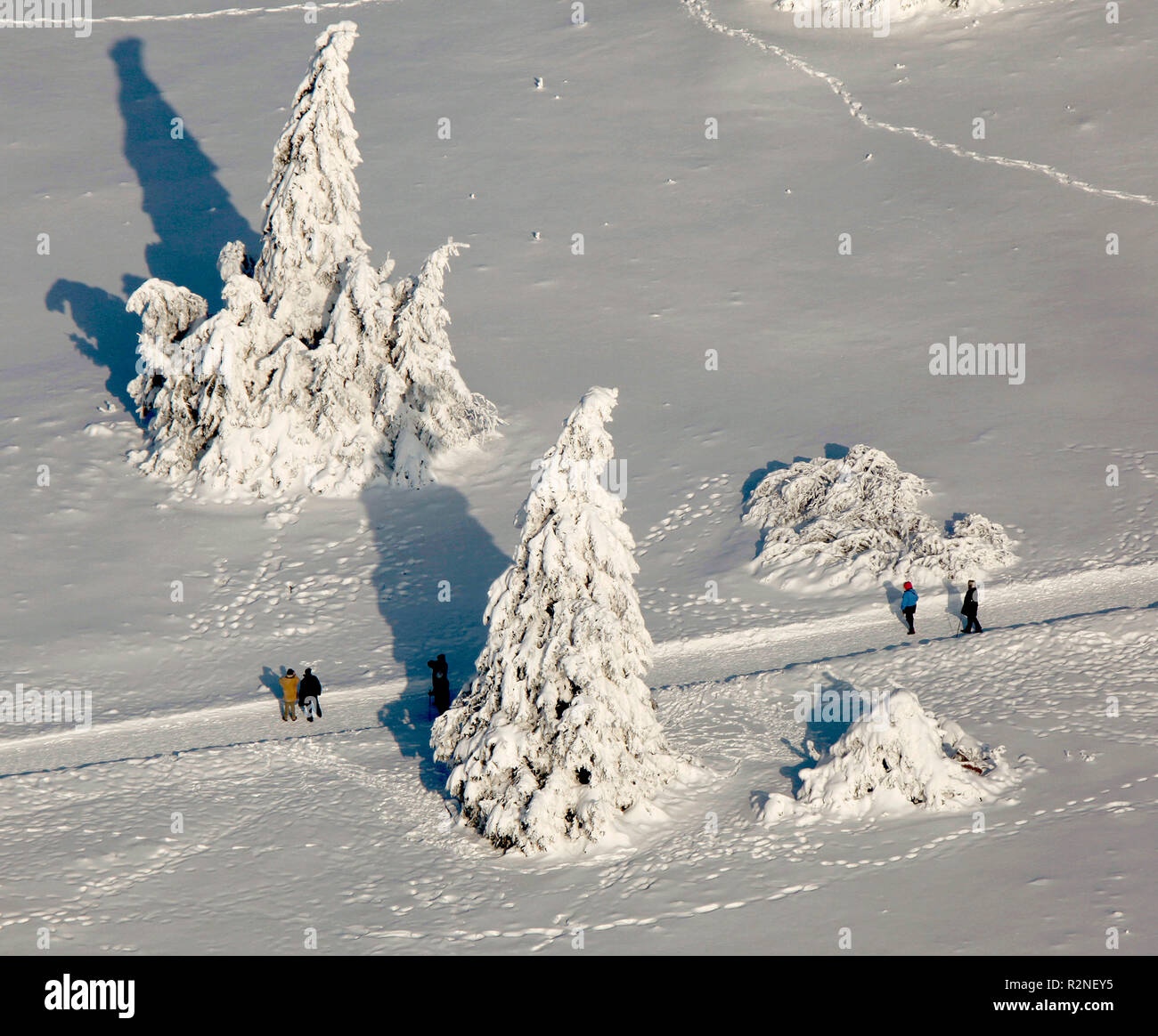 Aerial view, Kahler Asten, weather station, iced fir trees, walkers