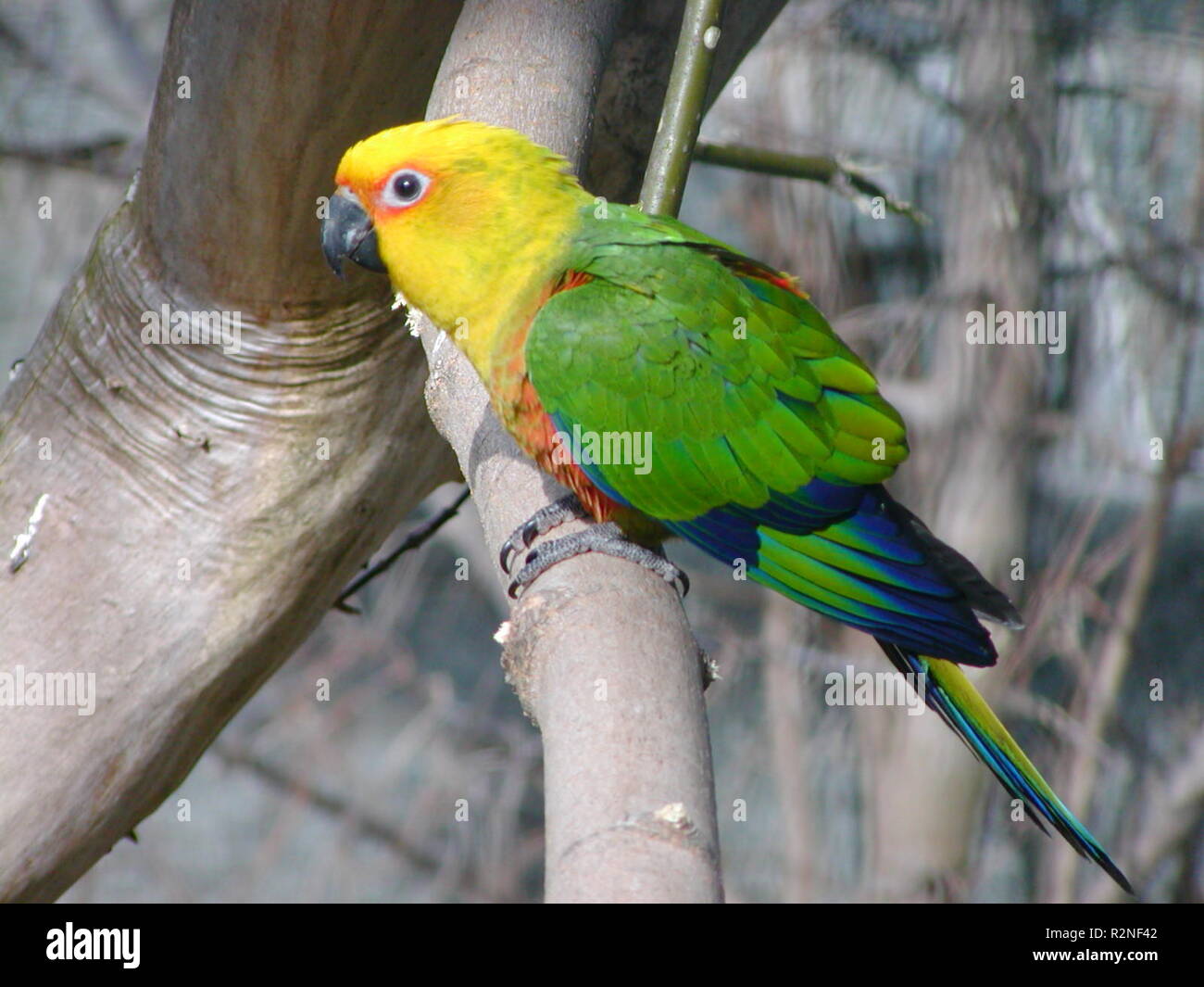 Jendayasittich hires stock photography and images Alamy