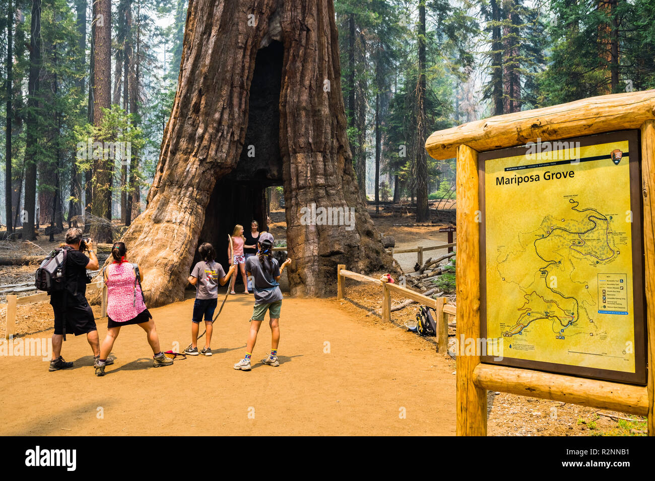 July 17, 2018 Mariposa Grove / Yosemite National Park / California / USA - Tourists taking photos with the Tunnel Giant Sequoia tree Stock Photo