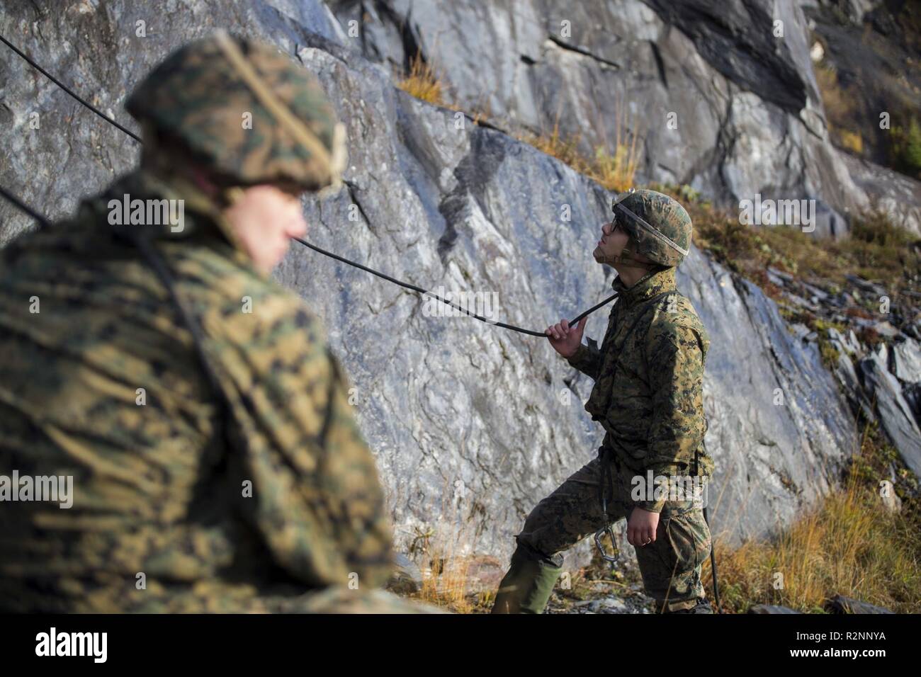 Green Claymore High Resolution Stock Photography And Images Alamy Green Claymore High Resolution Stock Photography And Images Alamy