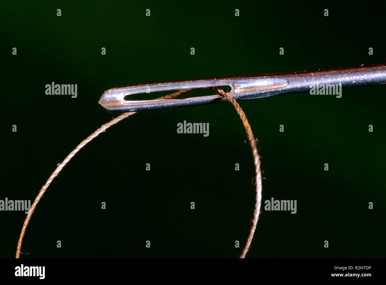 needle and thread Stock Photo Alamy