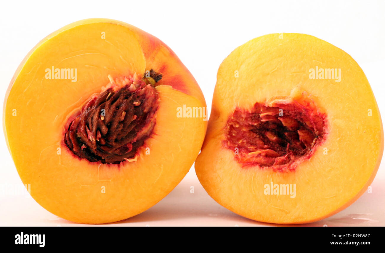 Peach Plastik Binderücken 12mm Weiß | 25 Stück | Für Dokumente Bis 95 Seiten