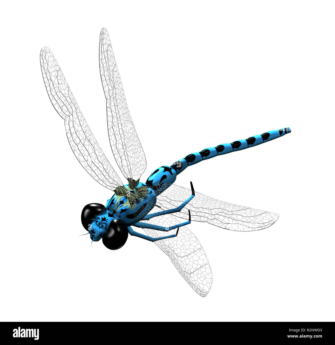3d cartoon dragonfly Stock Photo - Alamy