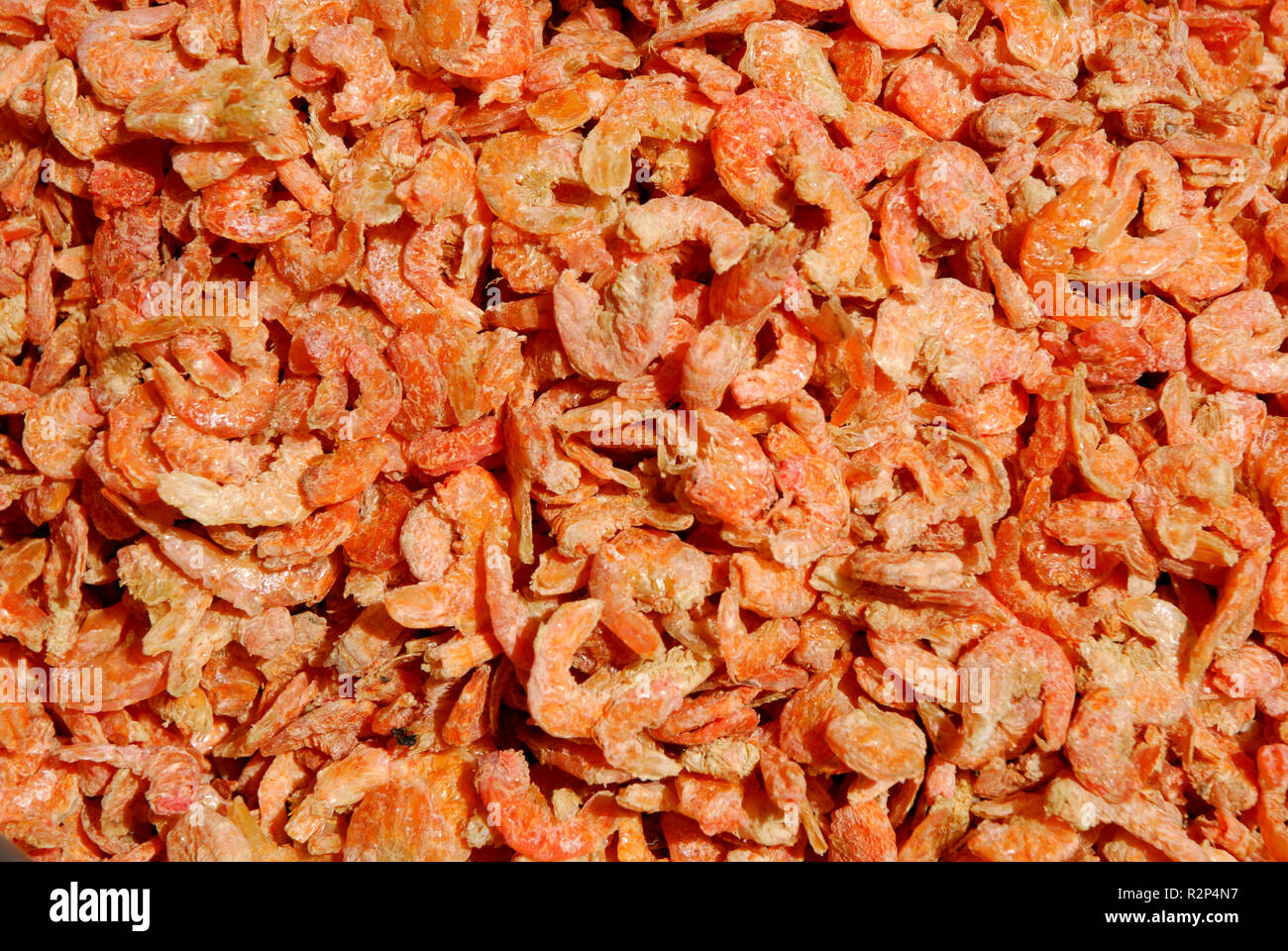 dried shrimp Stock Photo