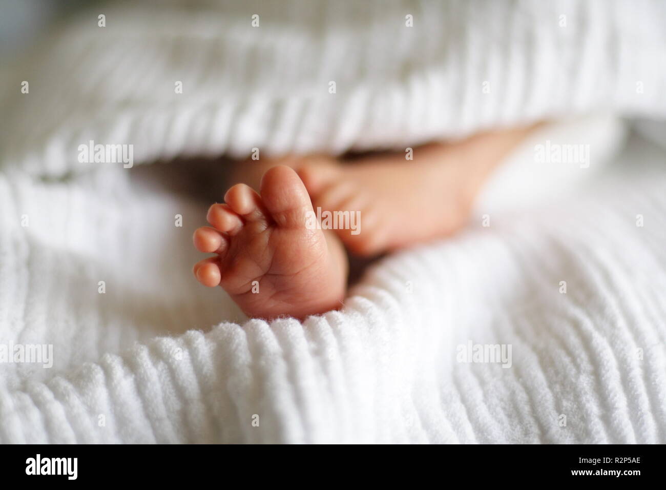 baby feet 2 Stock Photo - Alamy