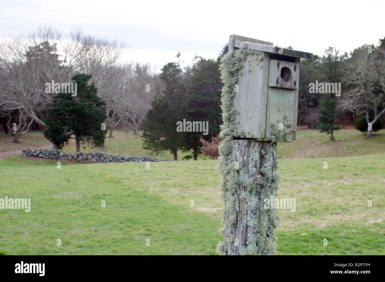 Old wooden birdhouse on wood post with mossy growth on overcast day at Bourne Farm, Falmouth, Cape Cod, Massachusetts USA Stock Photo