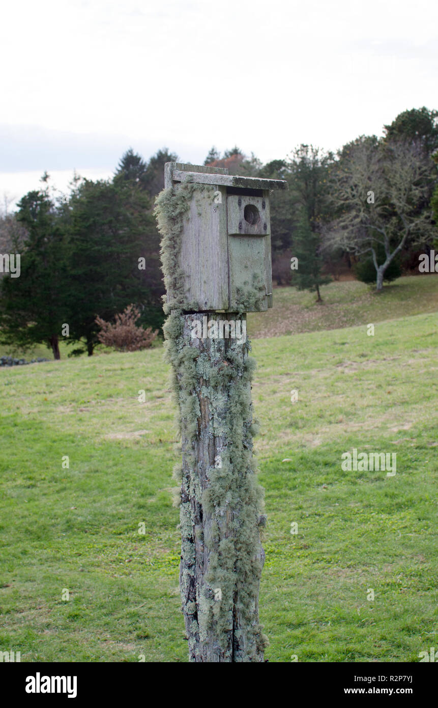 Wooden birdhouse hires stock photography and images Alamy