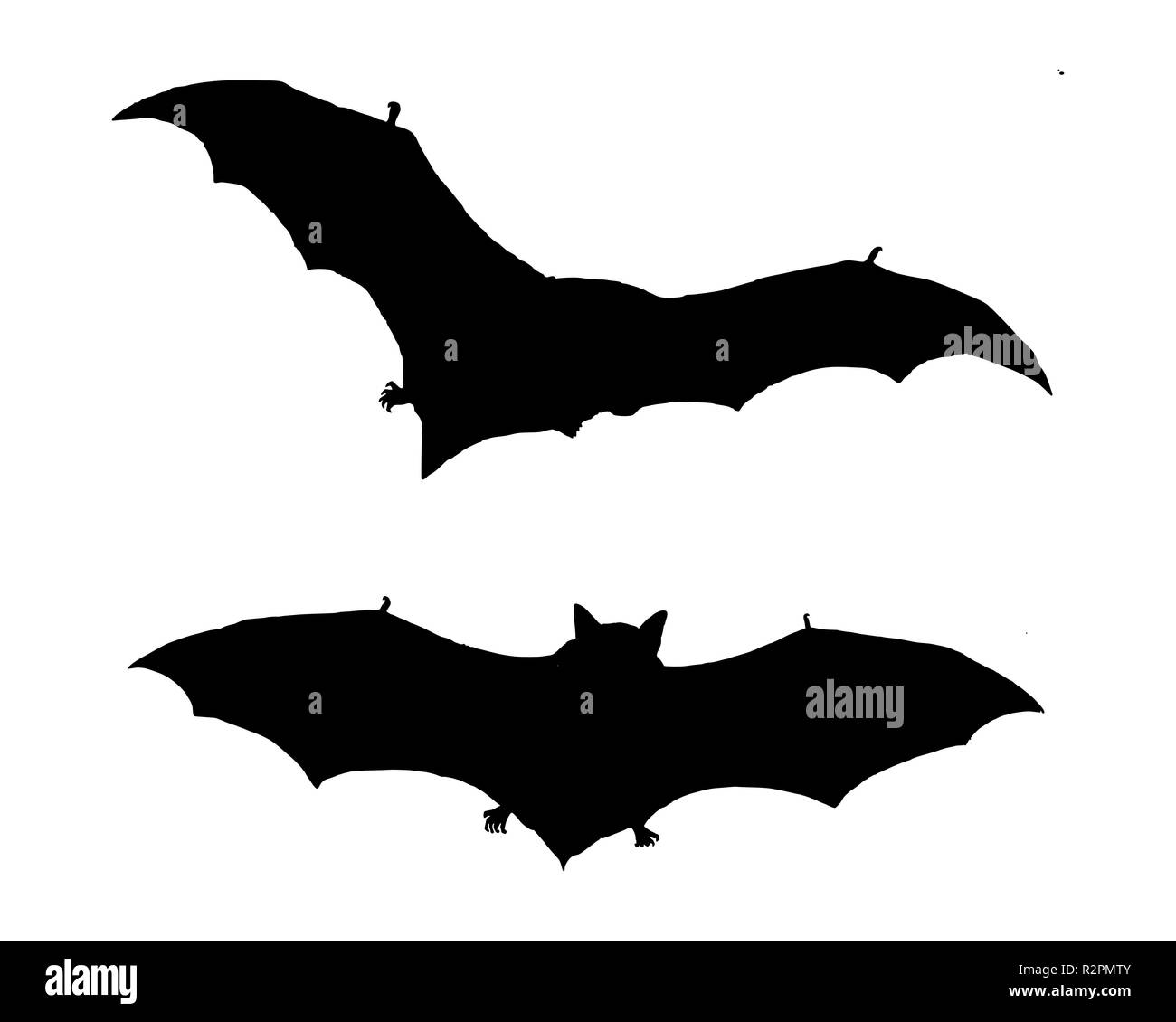 the black silhouette of two flying bats Stock Photo - Alamy
